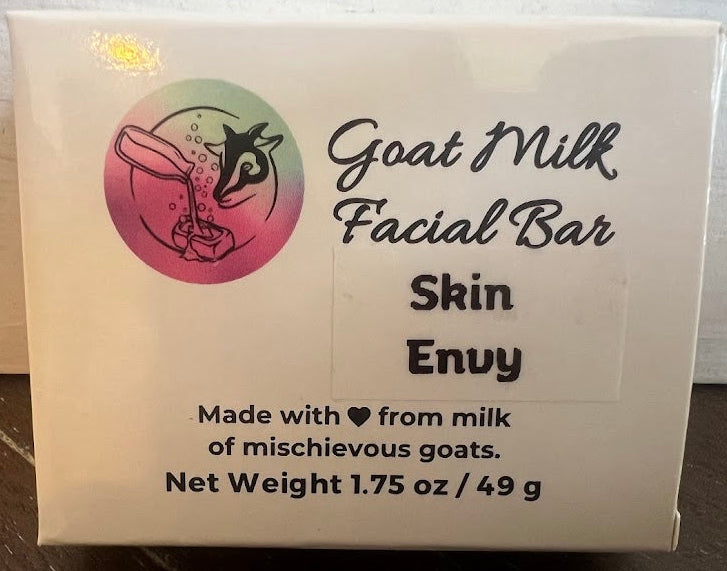 Skin Envy Facial Bar