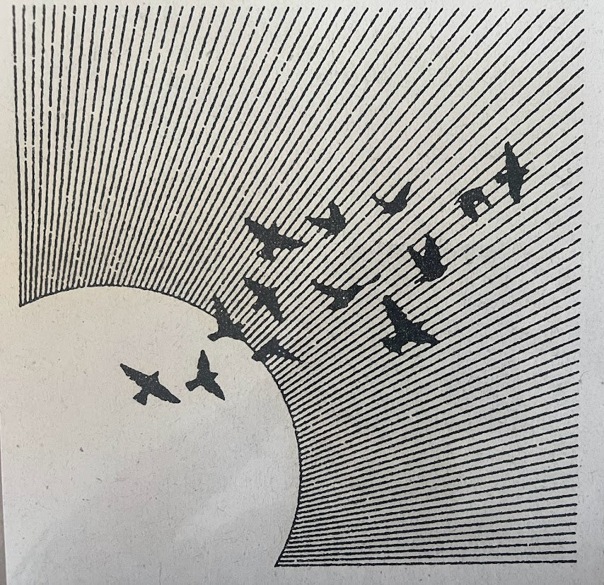Mid Air Print